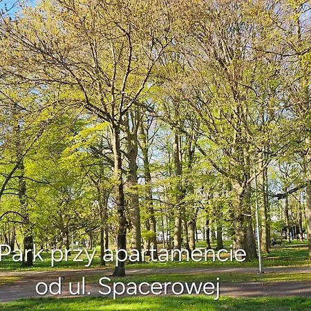 Apartament z garażem-3